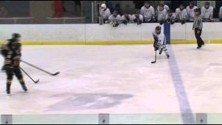 HS Boys Hockey Warroad vs Bemidji  Lakeland News Sports  February 6 2014 [upl. by Eicyac414]