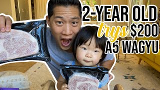 2 Year old tries 200 A5 Olive Wagyu from Japan  HUNGRY FAM [upl. by Rubie]