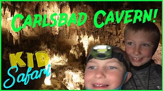 Carlsbad Cavern Kid Safari [upl. by Katheryn]