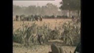 Sudan El Geneina Thousands of Chadians cross the border into Western Sudan in search of food [upl. by Milissent]