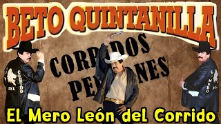 Beto Quintanilla El Mero Leon Del Corrido  Corrridos Perrones [upl. by Whit]