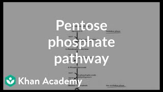 Pentose phosphate pathway  Cyclic structures and anomers  Biomolecules  MCAT  Khan Academy [upl. by Akayas787]