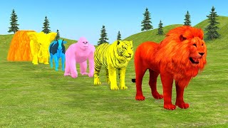 Long Slide Game With Elephant Gorilla Buffalo Hippopotamus Tiger  3d Animal Game  Funny 3d Animals [upl. by Nnaes]