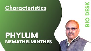 Phylum Nemathelminthes  General Characteristics [upl. by Rawlinson223]