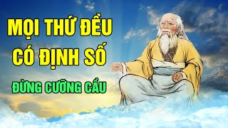 Nhân sinh tại thế Mọi thứ đều có định số đừng ép buộc cưỡng cầu [upl. by Nolyaj]