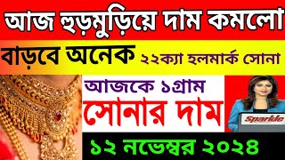 12 November 2024 ajke sonar dam। bortomane sonar dam।gold rate today in kolkata।sona o rupor dam [upl. by Halimaj]