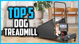 ✅ 5 Best Dog Treadmill in 2024 [upl. by Eustacia752]