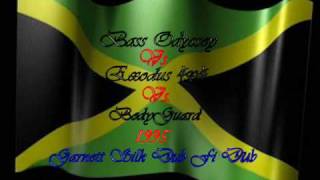 Garnett Silk Dub Fi Dub 1995 Audio Clip [upl. by Ynohtna709]