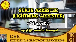 Surge Arrester Sinhala  Lightning arrester [upl. by Caddaric998]