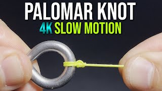 How to Tie a PALOMAR KNOT  quotKnot Easyquot Series  Fishing Knot Tutorial [upl. by Ammon784]