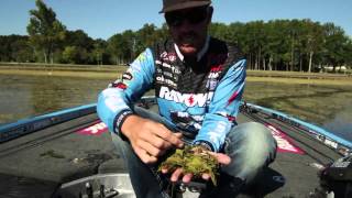 Fishing Frogs in Matted Grass  Tips on Selection [upl. by Winifield]