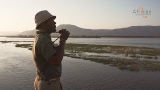 Your Guide Through The Heart Of Africa  African Bush Camps [upl. by Nelly]