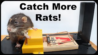 How To Catch MORE Rats With The Twin Home Experts Trapping System Mousetrap Monday [upl. by Xonel]