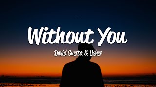 David Guetta  Without You Lyrics ft Usher [upl. by Ynohtnacram871]