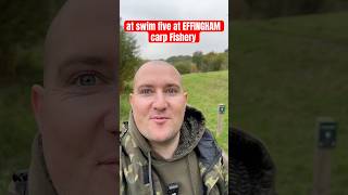 EFFINGHAM Carp Fishery SURREY  carpfishinguk carpfishing2024 [upl. by Golda]