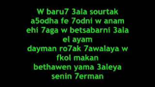 Mohammed Foad  Tameni 3alek Lyric [upl. by Avahc]