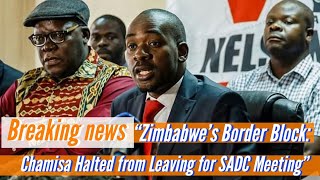 🇿🇼Chamisa Stopped from Leaving Zimbabwe Until SADC Summit Concludes🎥 [upl. by Jaeger]