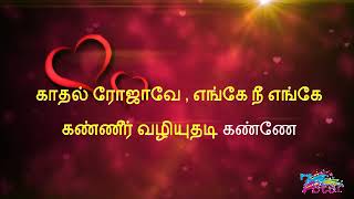 Kaadhal Rojave Tamil Lyrics  Roja Movie tamil song lyrics [upl. by Falito]