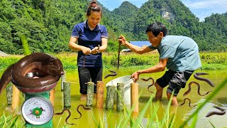 VIDEO FULL 9 Day Trap Eel With Dad Cook Harvest Lemon Fingers Ambarella  Daily Life  Gardening [upl. by Berkman468]