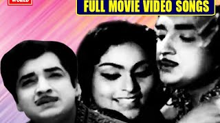 Pachanottukal Malayalam Full Movie Video Songs  Prem Nazir  Vijayasree  Music By M K Arjunan [upl. by Kcin]