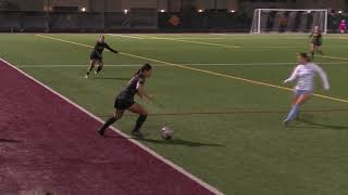 WSOC RMAC Tournament Highlights  CMU 0 FLC 0 FLC wins 87 on PKs [upl. by Esiuolyram]