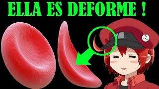 43 CURIOSIDADES DE Hataraku Saibou  Cells AT Work [upl. by Pacifa358]