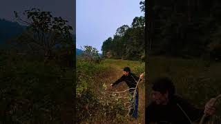 Short video In tha jungle start point dehradun support [upl. by Nnauol]