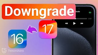 How to Downgrade iOS 17 to iOS 16 Without Data Loss（Step By Step Guide） [upl. by Anoet517]