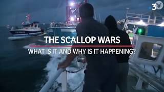 Scallop wars Why are trawlermen clashing in the ocean [upl. by Arol]