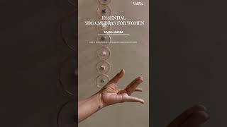 Yoga Mudras to practice daily  Best yoga mudras for women  Yoga Mudras for beginners [upl. by Oznola]