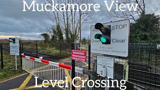 Muckamore View Level Crossing County Antrim Monday January 08012024 [upl. by Iveson]