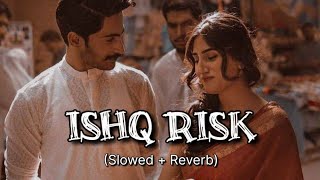 Ishq Risk  Rahat Fateh Ali Khan  Slowed  Reverb  Bollywood songs  Stereo Buddy [upl. by Enirehs339]