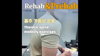 흉추가동성운동 1편 thoracic spine mobility exercises shorts [upl. by Naghem597]