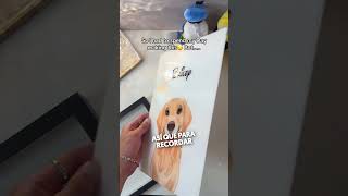 El Recuerdo Más Bonito de Este Perro ❤️ [upl. by Esenwahs]