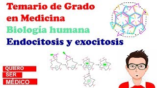 ENDOCITOSIS Y EXOCITOSIS Clatrina caveolas COPI y COPII macropinocitosis  Biología humana [upl. by Eciral742]