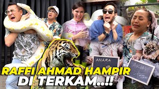 MPOK ALPA SAMPE NANGIS RAFFI AHMAD HAMPIR DI T3RKAM HARIMAU [upl. by Ofelia]