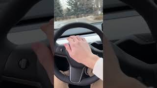 Imagine Hearing This Tesla Horn In Ohio 🤣🔊 [upl. by Bonner]