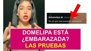 DOMELIPA ESTÁ ¿EMBARAZADA LAS PRUEBAS [upl. by Aicsile]