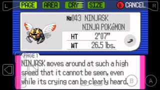 043 How to Evolve Nincada into Ninjask in Pokemon Ruby [upl. by Callean982]