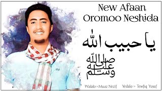 Yaa Habib Allah ቶፊቅ ዩሱፍ New Afaan Oromo Neshida  አዲስ ኦሮምኛ ነሺዳ  Tewfiq Yusuf new oromo music [upl. by Aneeled]