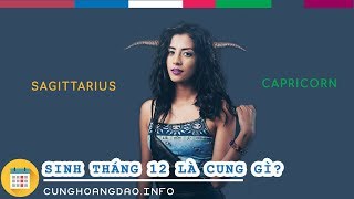 Sinh tháng 12 là cung hoàng đạo gì  CUNGHOANGDAOINFO [upl. by Evangelia]