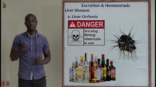 33 Liver Diseases Part 1 Biology Form 2 [upl. by Uos181]