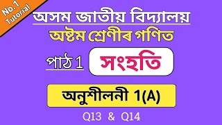 assam jatiya bidyalay class 8 maths lesson 1  ajb class 8 maths ex 1a q13 q14 [upl. by Gaudet]