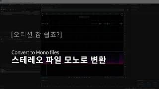 오디션 참쉽죠 6 스테레오를 모노 파일로 변환 Convert to Mono Files  어도비 오디션 기초 [upl. by Anehsuc]