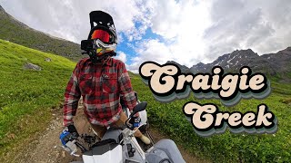 Craigie Creek Trail  Hatcher Pass Alaska ATV [upl. by Thorr]