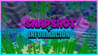 SE ACERCA LA ACTUALIZACIÓN ACUÁTICA SNAPSHOT 18W20A Minecraft [upl. by Adnicul]