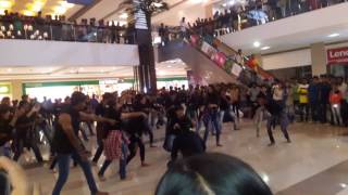 Mit College Aurangabad Flashmob At Prozone Mall [upl. by Norman597]