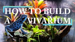 THE ULTIMATE VIVARIUM BUILD  Drylok Background [upl. by Gnurt196]