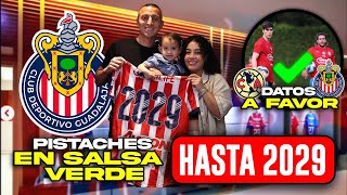 🔴Noticias Chivas PISTACHES EN SALSA VERDE 2029  Datos a FAVOR Para el Clásico nacional [upl. by Elacim]