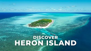 Discover Heron Island  Southern Great Barrier Reef [upl. by Arelus]